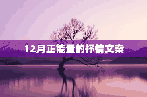 12月正能量的抒情文案(12月正能量的抒情文案怎么写)